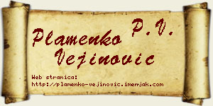 Plamenko Vejinović vizit kartica